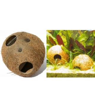 Kokos do akwarium kryjówka kotnik ozdoba korzeń jaskinia