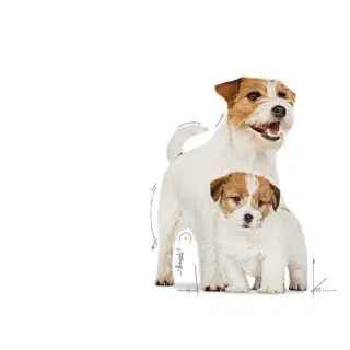 Royal Canin Starter Mother&Babydog karma mokra - mus, dla suk w czasie ciąży, laktacji oraz szczeniąt puszka 195g-169
