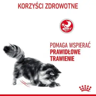 Royal Canin Digestive Care karma mokra w sosie dla kotów dorosłych, wrażliwy przewód pokarmowy saszetka 85g-1472563