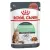 Royal Canin Digest Sensitive karma mokra w sosie dla kotów dorosłych, wrażliwy przewód pokarmowy saszetka 85g-1355916