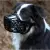Trixie Kaganiec plastikowy dla psa rozmiar 7 (L-XL) czarny [17607]-1473724