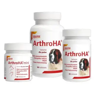 Arthro HA 90 tabletek-1511527