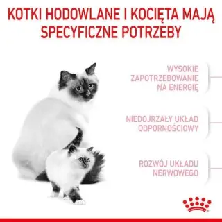 Royal Canin Mother&Babycat karma sucha dla kotek w okresie ciąży, laktacji i kociąt od 1 do 4 miesiąca 4kg-1542696