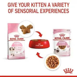 Royal Canin Kitten w sosie karma mokra dla kociąt do 12 miesiąca życia saszetka 85g-1543306