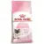 Royal Canin Mother&Babycat karma sucha dla kotek w okresie ciąży, laktacji i kociąt od 1 do 4 miesiąca 4kg-1355218