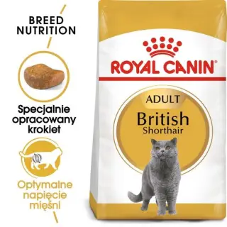 Royal Canin British Shorthair Adult karma sucha dla kotów dorosłych rasy brytyjski krótkowłosy 4kg-1483593