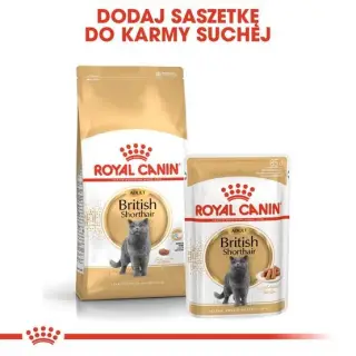 Royal Canin British Shorthair Adult karma sucha dla kotów dorosłych rasy brytyjski krótkowłosy 4kg-1694994