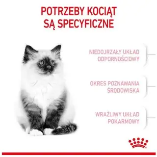 Royal Canin Kitten karma sucha dla kociąt od 4 do 12 miesiąca życia 2kg-1695653
