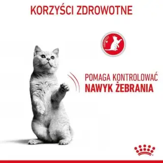 Royal Canin Appetite Control Care karma sucha dla kotów dorosłych, domagających się jedzenia 2kg-1696219