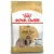 Royal Canin Shih Tzu Adult karma sucha dla psów dorosłych rasy shih tzu 1,5kg-1694800