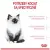 Royal Canin Kitten karma sucha dla kociąt od 4 do 12 miesiąca życia 400g-1695069