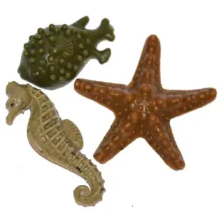 Adbi Owoce morza Sea Creatures Mix 30szt [P30]-1483890