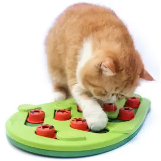 Nina Ottosson Cat Buggin' Out Puzzle & Play - gra edukacyjna dla kotów-1702523