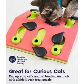 Nina Ottosson Cat Melon Madness Puzzle & Play - gra edukacyjna dla kotów-1702526