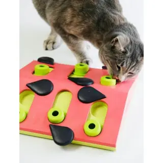Nina Ottosson Cat Melon Madness Puzzle & Play - gra edukacyjna dla kotów-1702529