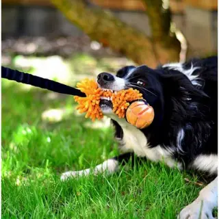 Dingo Zabawka dla psa - Szarpak Mop Bungee z piłką pomarańczowy-1703150