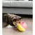 Nina Ottosson Dog Treat Tumble Small 11cm - gra edukacyjna [67326]-1701872