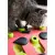 Nina Ottosson Cat Melon Madness Puzzle & Play - gra edukacyjna dla kotów-1702530