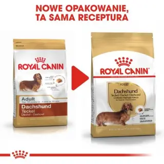 Royal Canin Dachshund Adult karma sucha dla psów dorosłych rasy jamnik 1,5kg-1739542