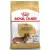 Royal Canin Dachshund Adult karma sucha dla psów dorosłych rasy jamnik 1,5kg-1739541