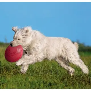 Trixie Frisbee Dysk Dog Disc 18cm [TX-33501]-1740483