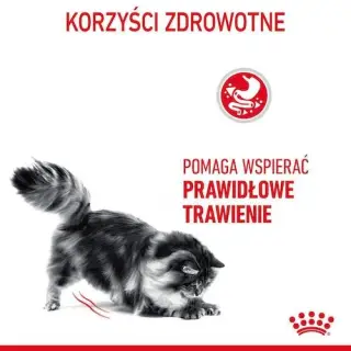 Royal Canin Digestive Care karma sucha dla kotów dorosłych, wspomagająca przebieg trawienia 400g-1743270