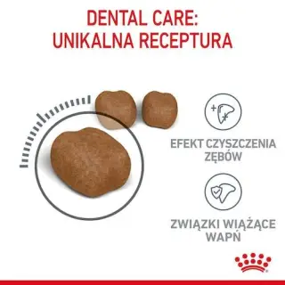 Royal Canin Dental Care karma sucha dla kotów dorosłych, redukująca odkładanie kamienia nazębnego 400g-1743530