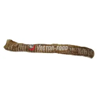 Vector-Food Tchawica wołowa cała 1szt/35cm-1745918