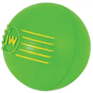 JW Pet iSqueak Ball Medium [32124D]-1746940