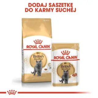 Royal Canin British Shorthair karma mokra w sosie dla kotów dorosłych rasy brytyjski krótkowłosy saszetka 85g-175165