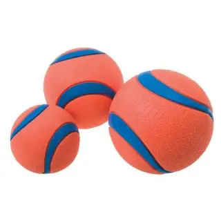 Chuckit! Ultra Ball Large [17030]-1751779