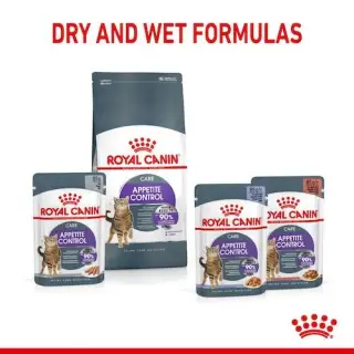 Royal Canin Appetite Control Care karma mokra w galaretce dla kotów dorosłych, domagających się jedzenia saszetka 85