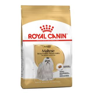 Royal Canin Maltese Adult 500g-12124
