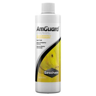Seachem AmGuard 250ml - szybko usuwa amoniak